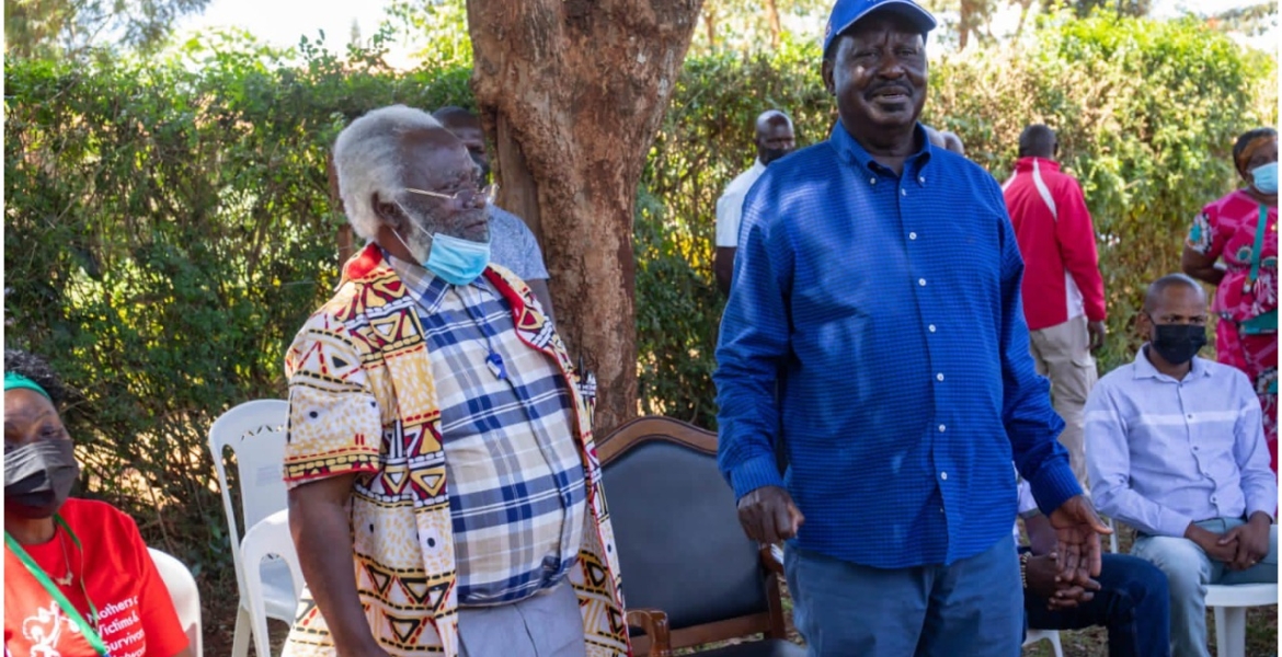 Raila Condemns Meru Senator Mithika Linturi's 'Madoadoa' Remarks