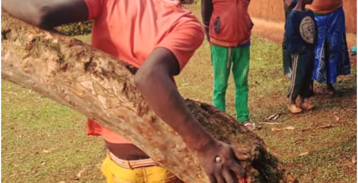 Police Rescue 19-Year-Old Kenyan Man Nailed to a Tree