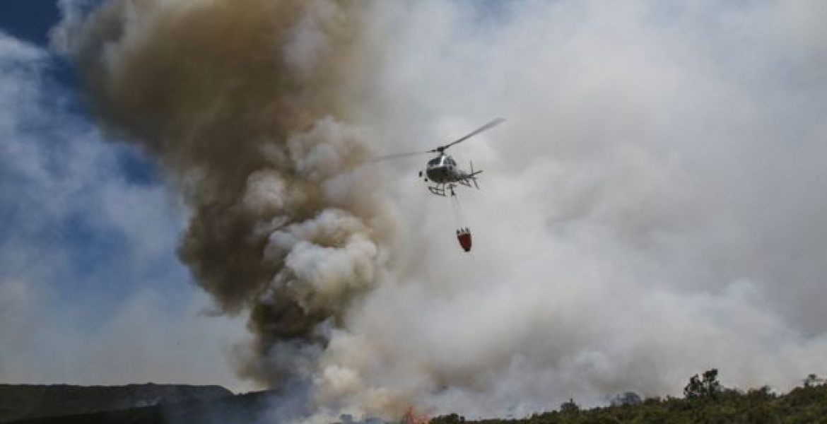 Fire Destroys 16,000 Acres of Mt Kenya Forest