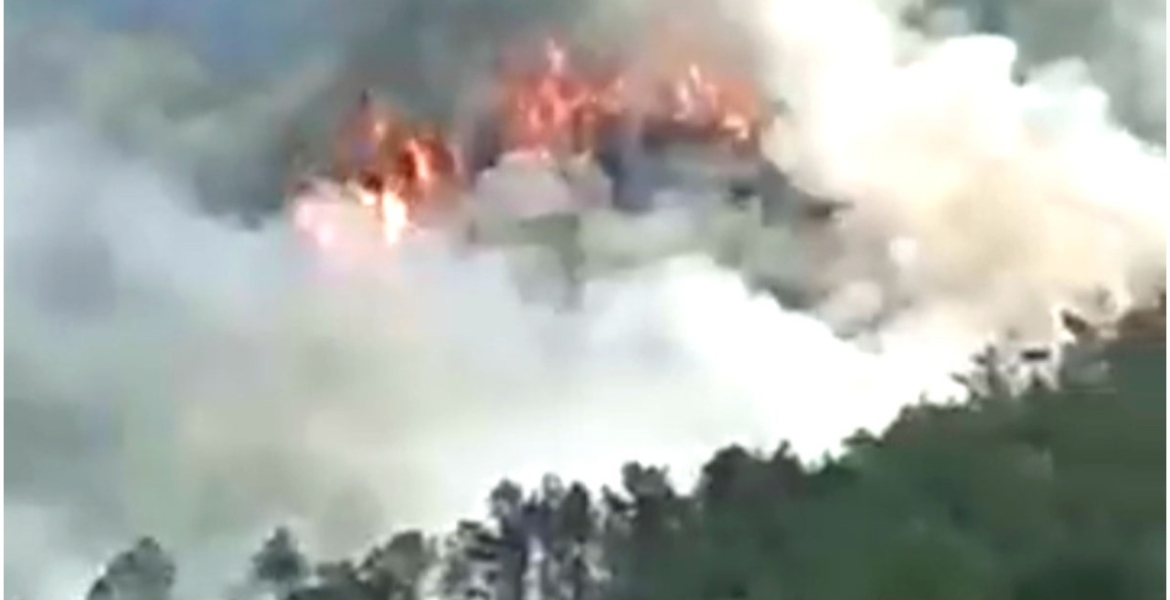 Boeing 737-800 Plane Carrying 132 People Crashes in China