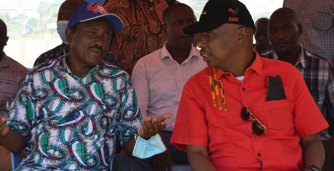 Kanu Endorses Kalonzo Musyoka as Raila’s Running Mate