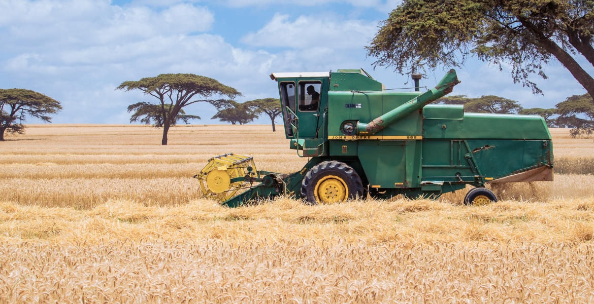 Wealthy Investors to be Given Idle Kenya Gov't Land for Large-Scale Farming