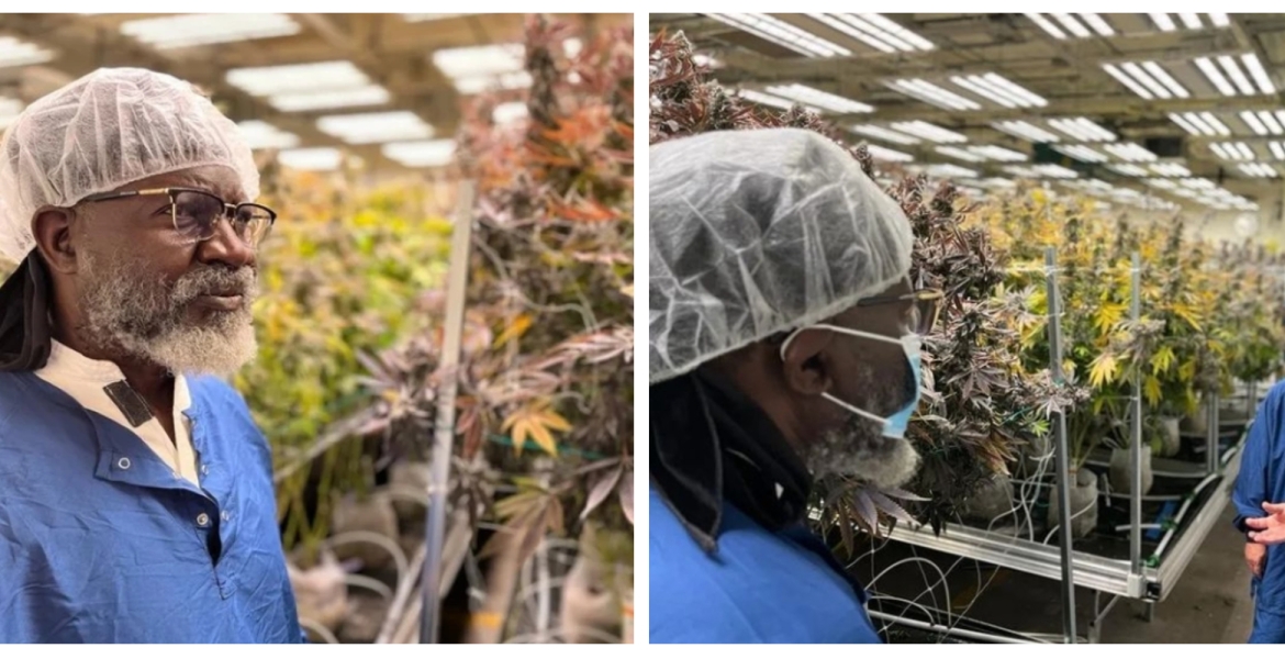 Presidential Contender George Wajackoyah Tours Marijuana Farms in the US