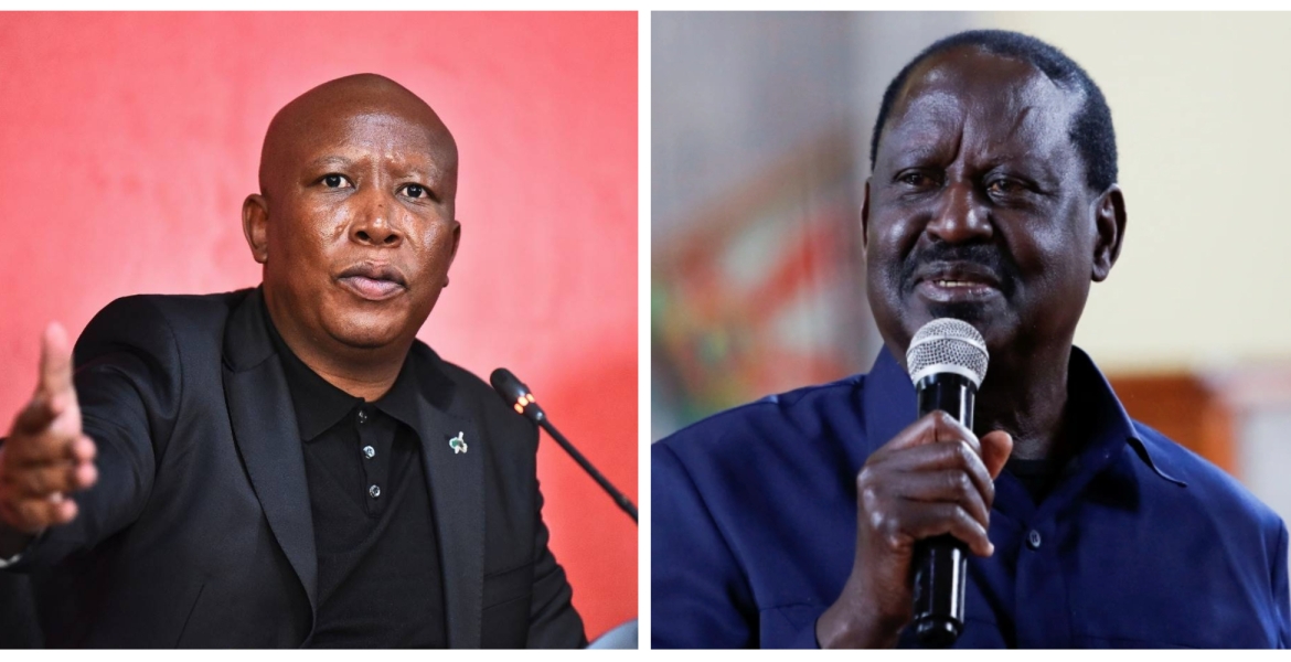 South African Opposition Leader Julius Malema Urges Raila to Concede Defeat