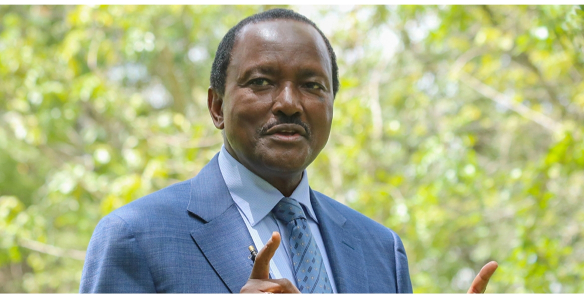 Azimio Fronts Kalonzo and Marende for Senate and National Assembly Speaker Posts