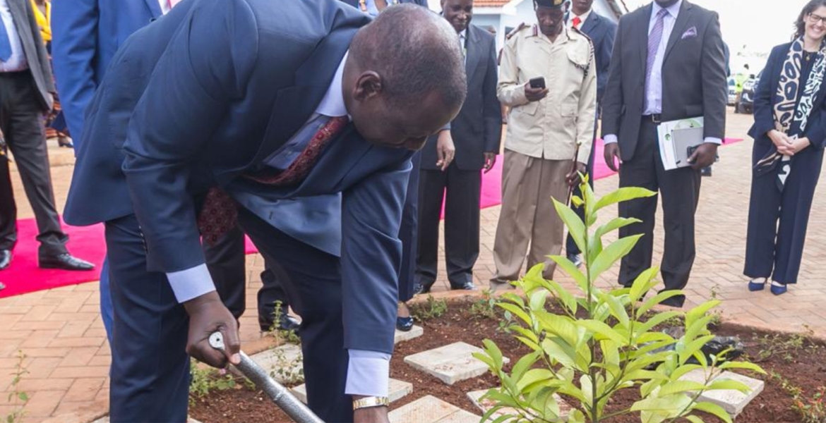 President Ruto Rallies Kenyans to Plant Five Billion Trees to Combat Climate Change