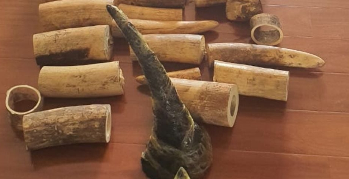 Chinese Man Found Dead in a Nairobi Apartment, Game Trophies Recovered