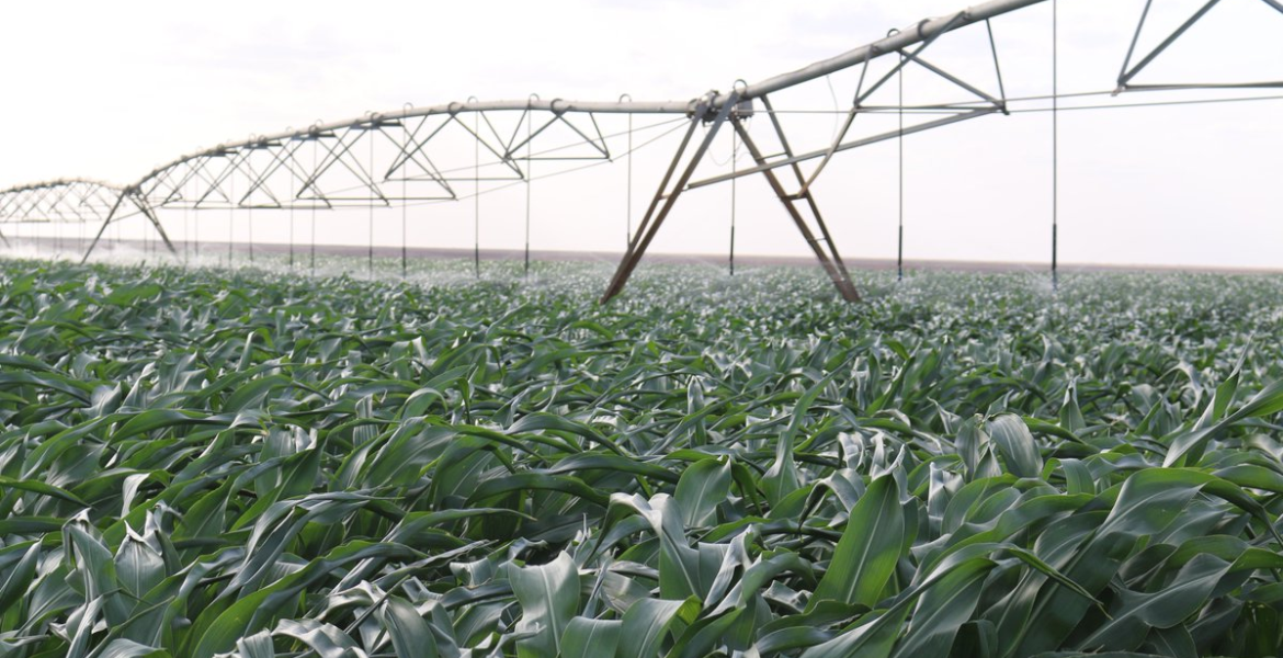 President Ruto Orders Revival of the Failed Galana Kulalu Irrigation Project