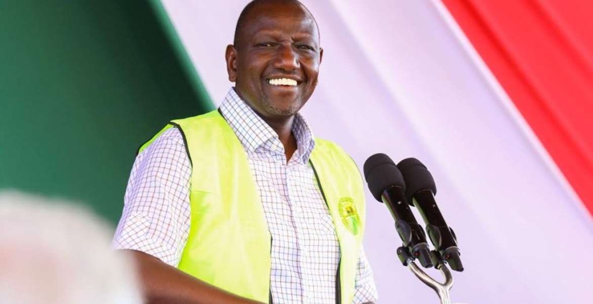 Court Bars President Ruto from Firing Captain Paul Rukaria as Chair of KNTC