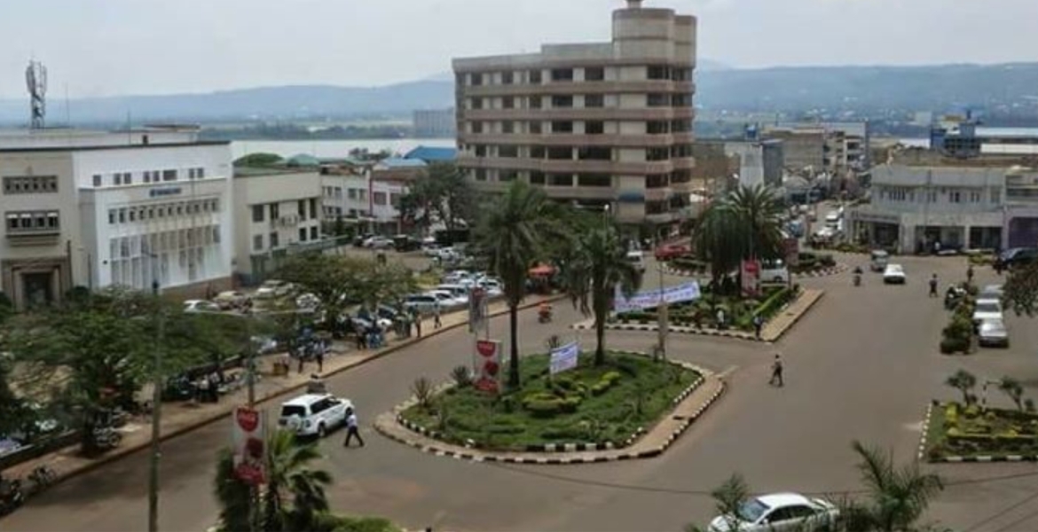 Kisumu Hotel and Lodging Owners Put on Notice over Bedbug, Rat Infestation
