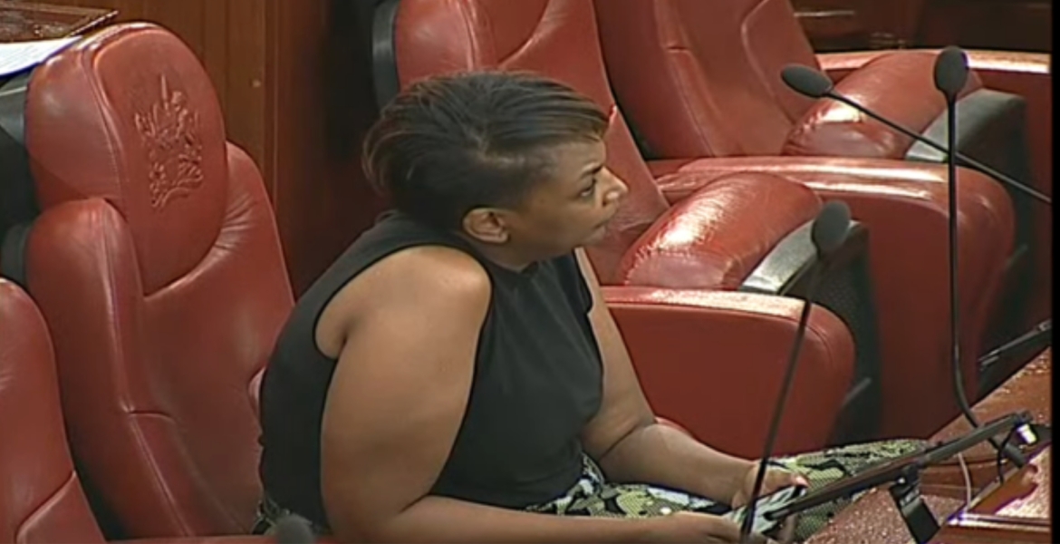 Senator Karen Nyamu Expelled from Senate Chamber over Inappropriate Dressing