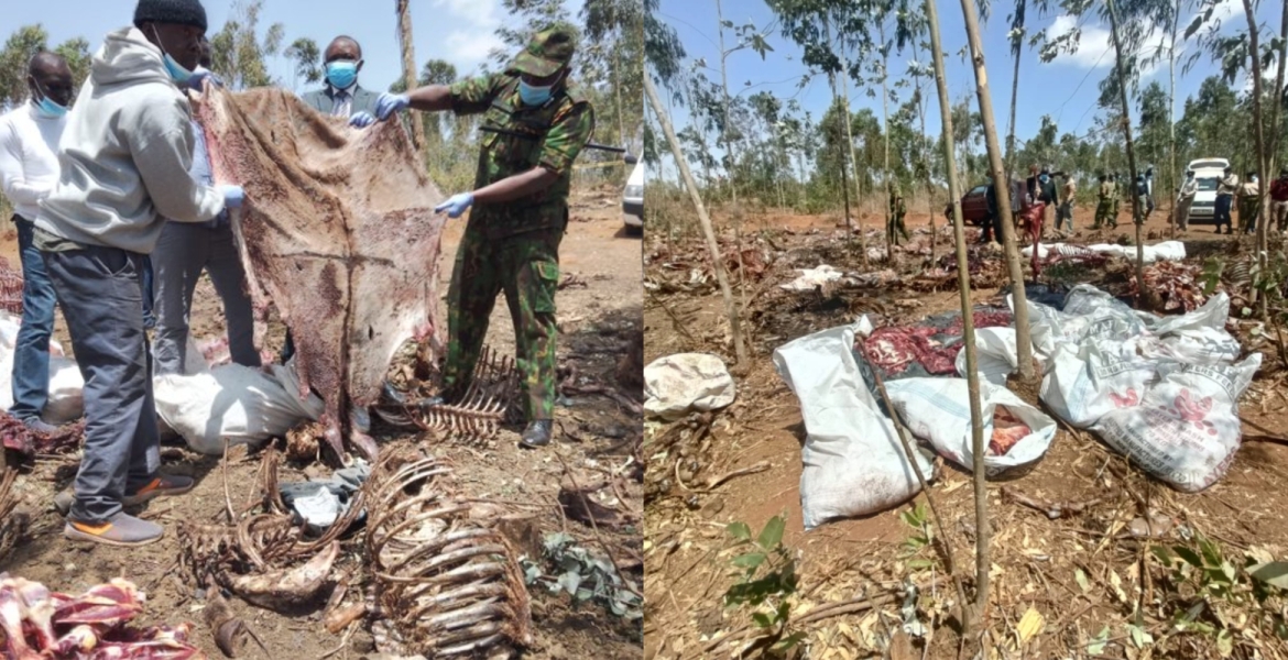 Two Arrested After Police Raid an Illegal Donkey Abattoir in Kiambu