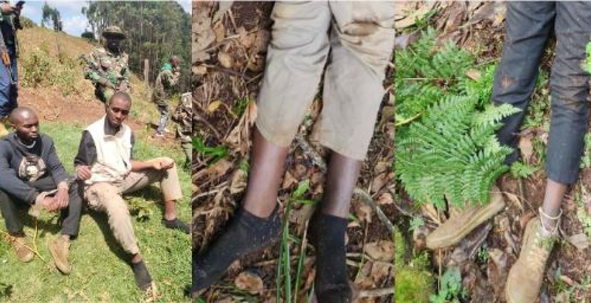 IPOA Probes Controversial Shooting of Two Suspected Bank Robbers in Murang'a