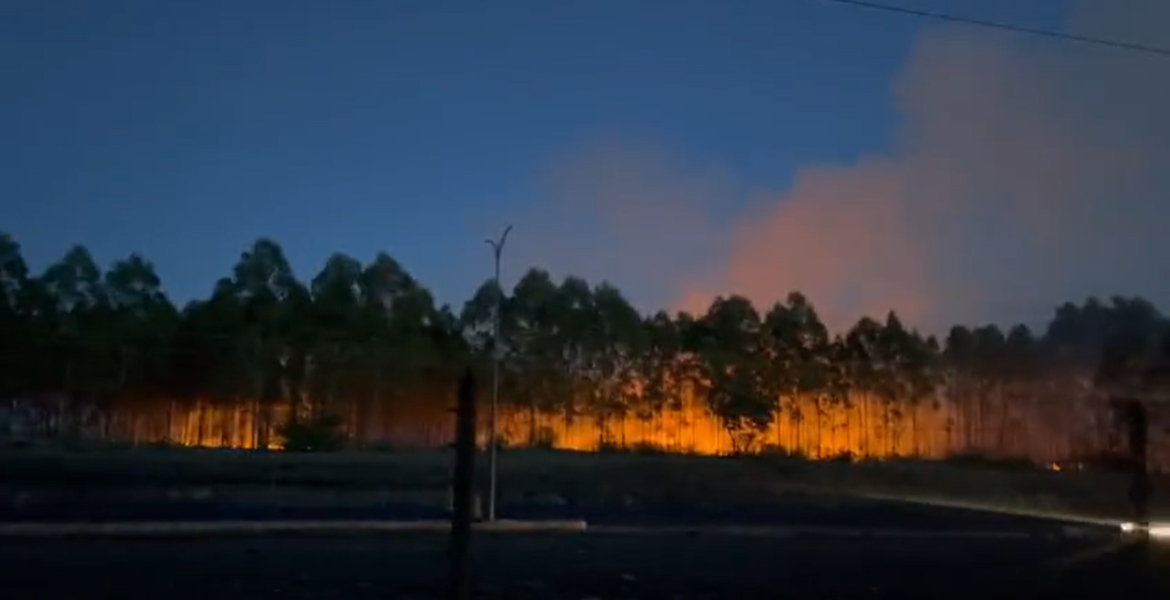 Fire Breaks Out at Kenyatta Family’s Land, Hours After Raid by Goons