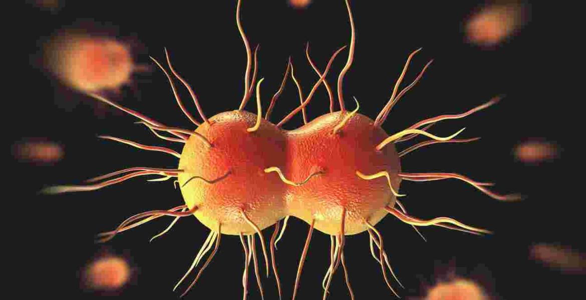 Alarm as Kenya Scientists Discover New Strains of Gonorrhea and Chlamydia