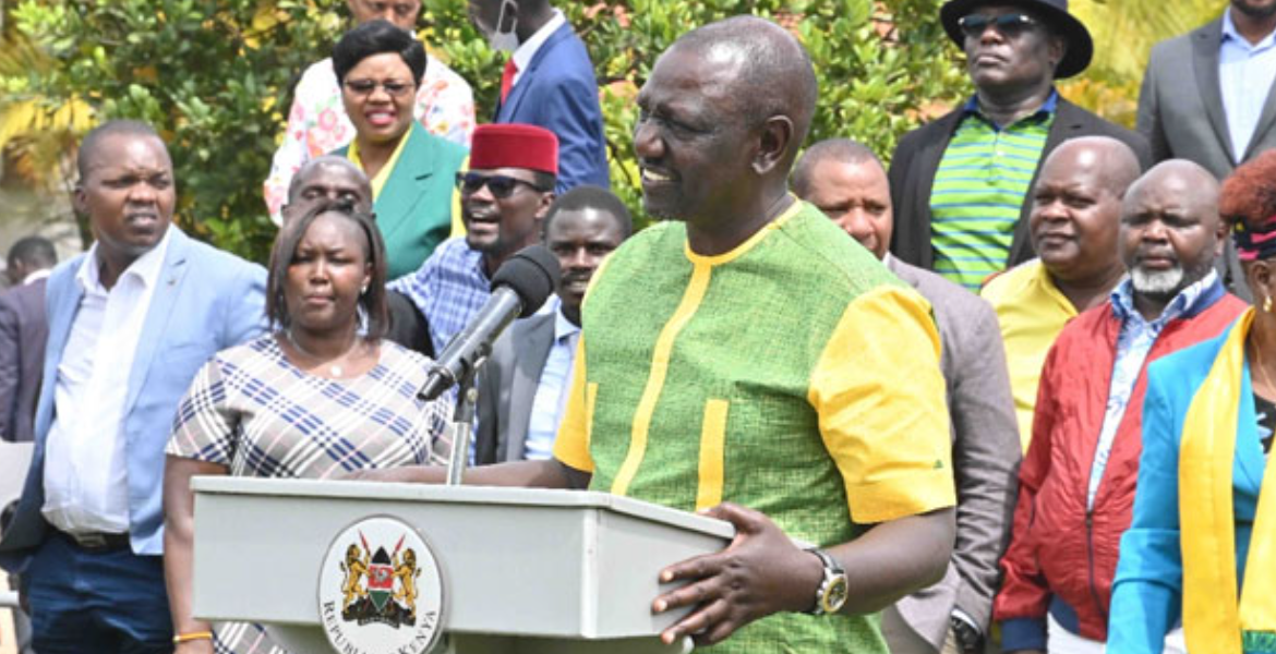 More Pressure at Ruto's Camp as UDA National Vice Chairperson Ditches the Party