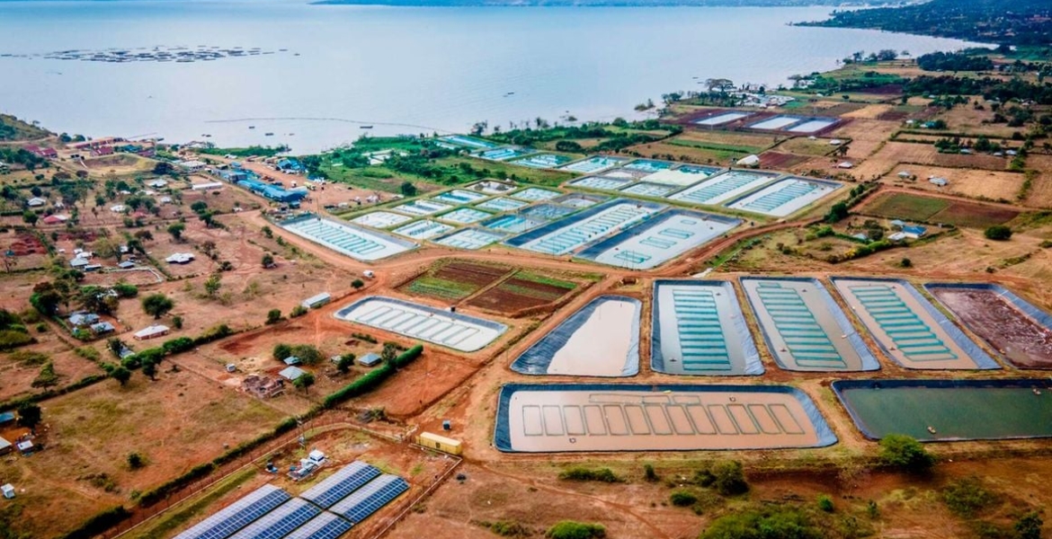 New List of Kenya's Little-Known Firms Earning Billions Revealed