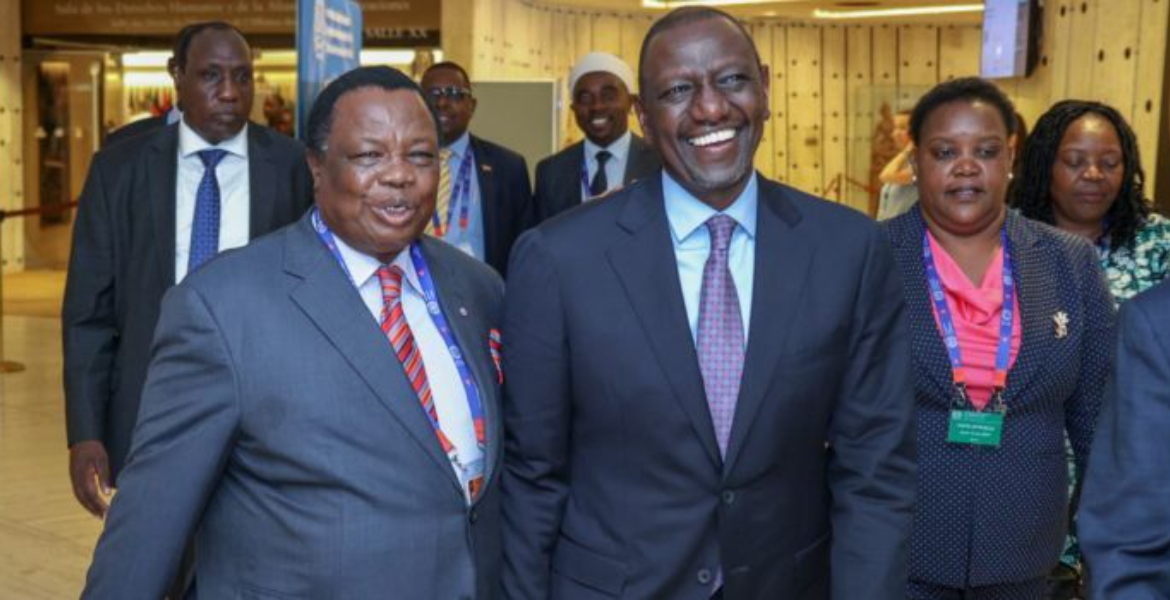 I'm Keen to Create Jobs for Youths, Ruto Tells Diaspora