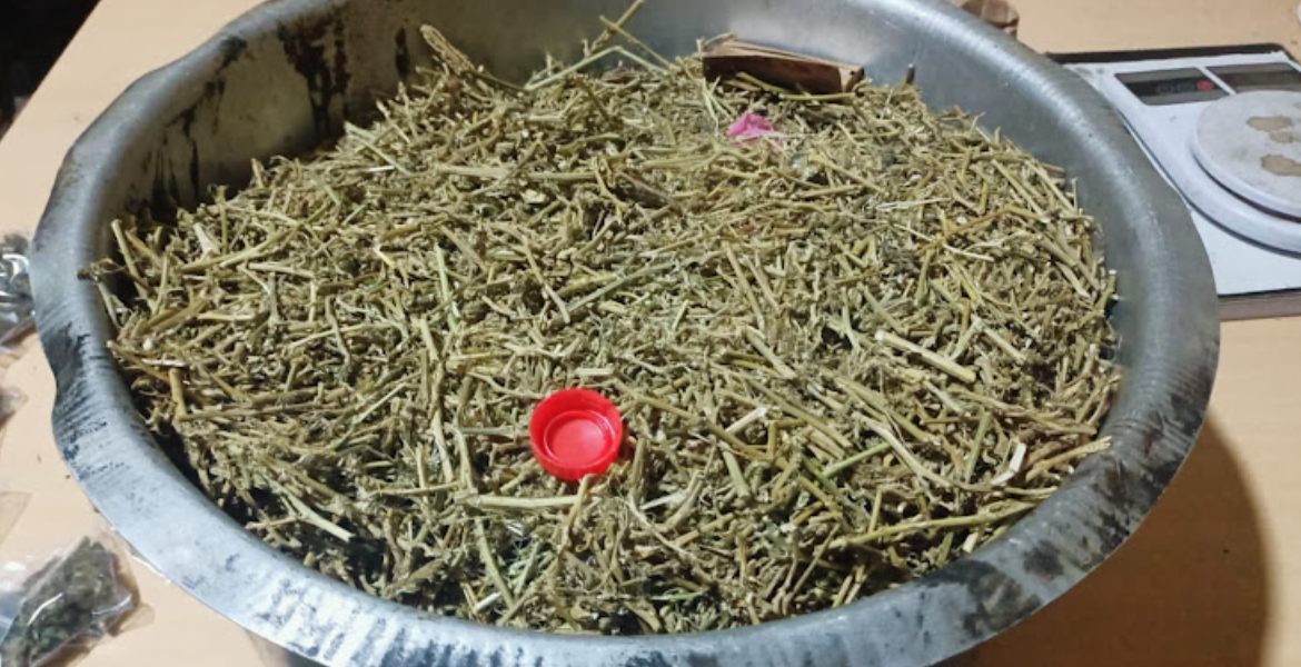 Seven Arrested Over Possession of Bhang in Nairobi