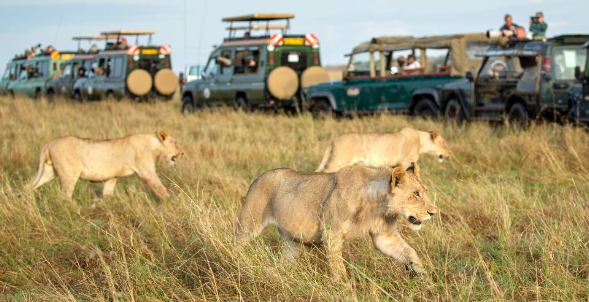 Kenya Ranked Among Top Destinations Worldwide by UK Citizens