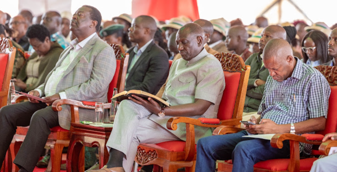 Demos, Witchcraft Will Not Lower Cost of Unga, Says Ruto