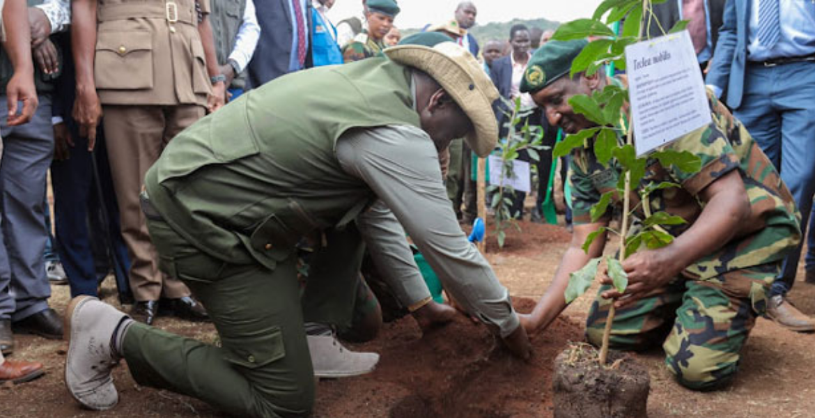 Kenya's Tree Planting Day Allegedly Crafted for Financial Gain