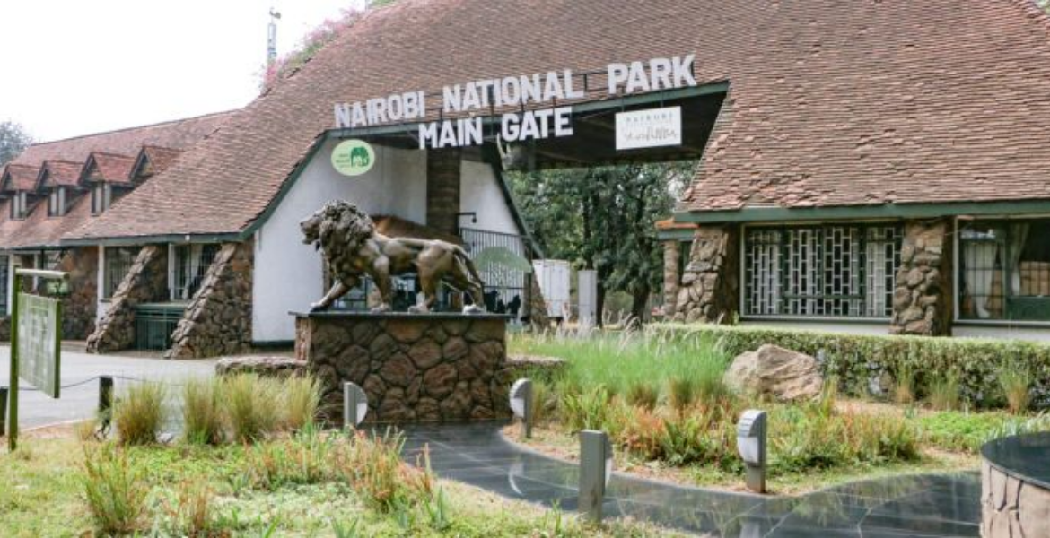 Kenya Govt Grants Free Entry to National Parks on Jamhuri Day