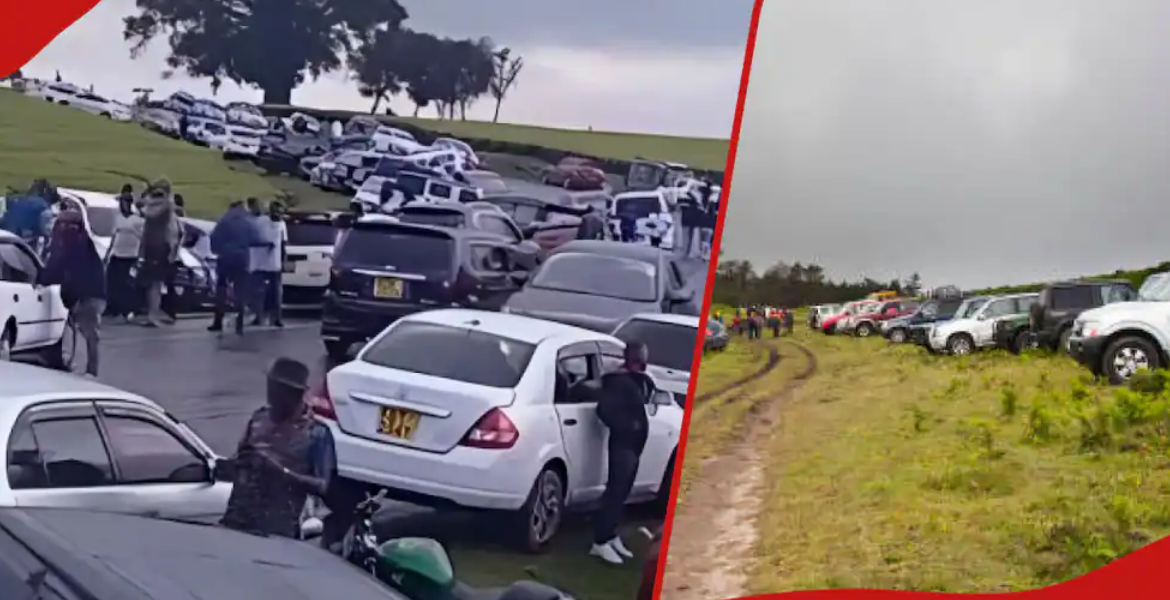 Government Cracks Down on Immoral Parties in Kiambu Tea Plantations