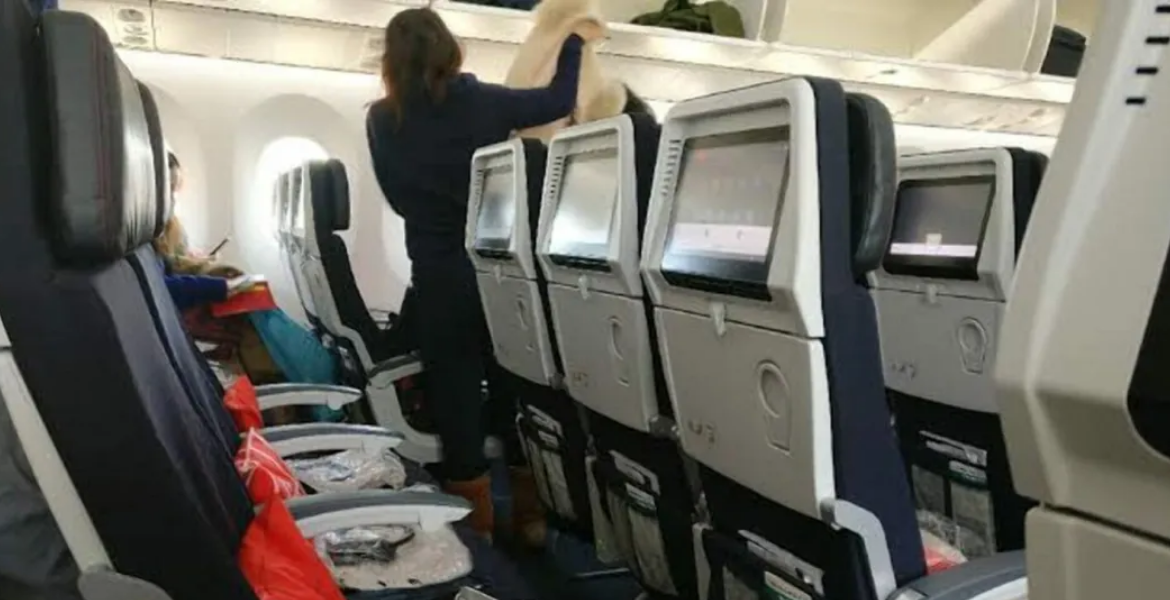 Kenyan Woman Unsettling Encounter as a Suspected Drug Mule on a US Flight