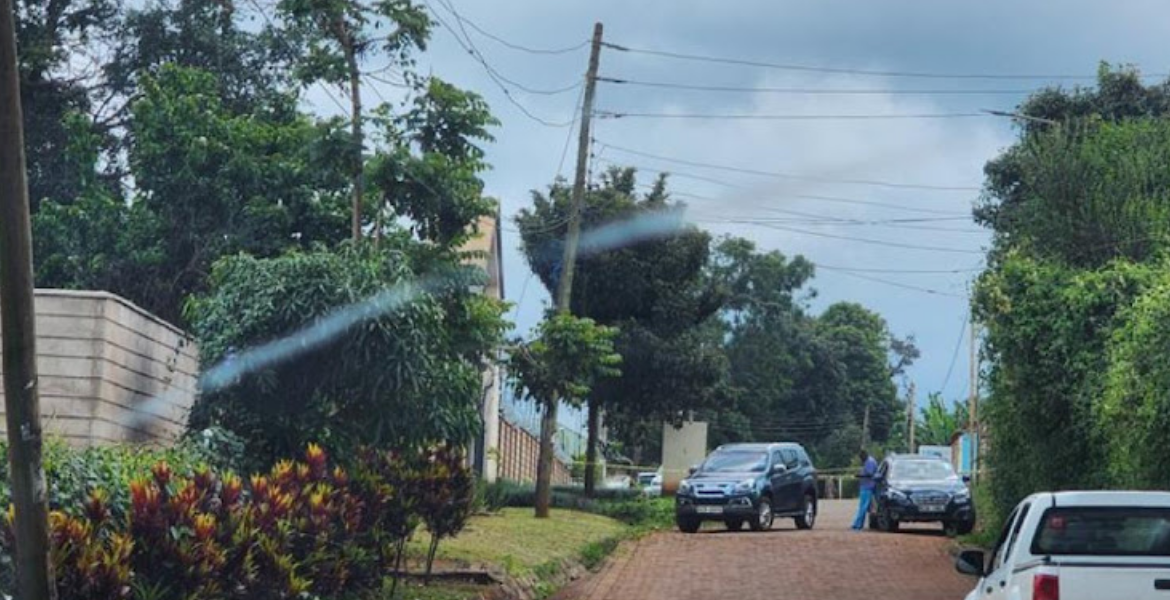 DCI Takes Action: Kawira Mwangaza's Meru Home Cordoned Off