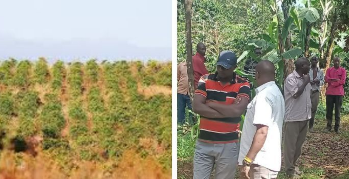 60-Year-Old Woman Brutally Murdered, Money Left Untouched