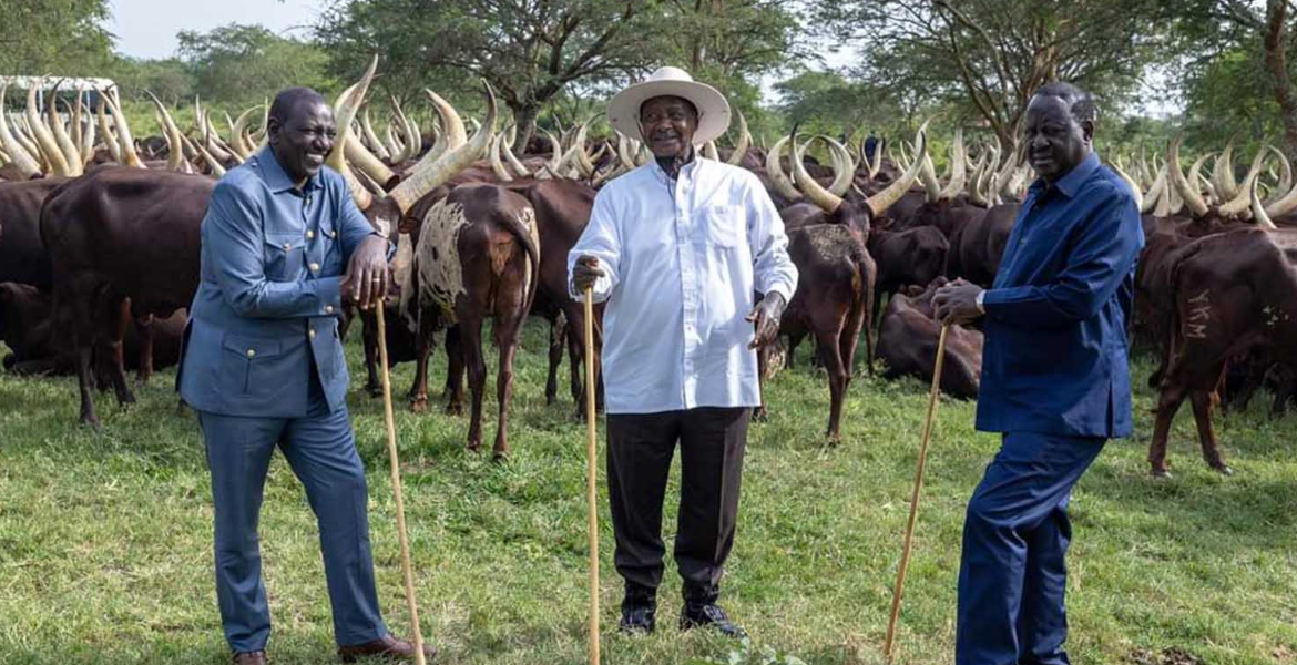 Ruto-Odinga Meeting Sparks Speculation of Political Truce