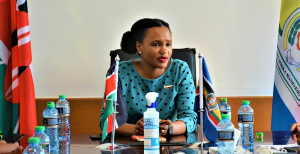 PS Njogu Confronts Notion of Diaspora Policy Being Remittance-Driven