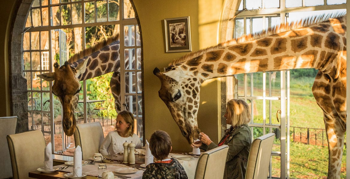 Kenyan Hotel Giraffe Manor Ranked Among the World's Top Instagrammable Hotels