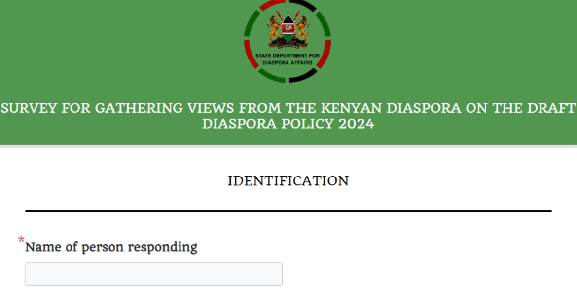 Government Seeks Diaspora Input for Investment Feedback and Policy Revision