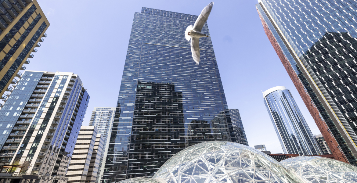 Amazon Pauses Green Card Sponsorship for Foreign Workers in 2024