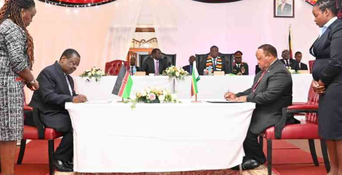 Zimbabwe Endorses Raila Odinga for Top AU Post