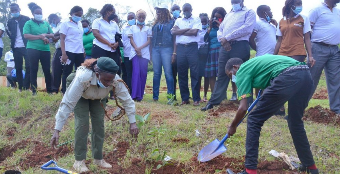 Kenya's Ambitious Plan to Plant 15 Billion Trees By 2032