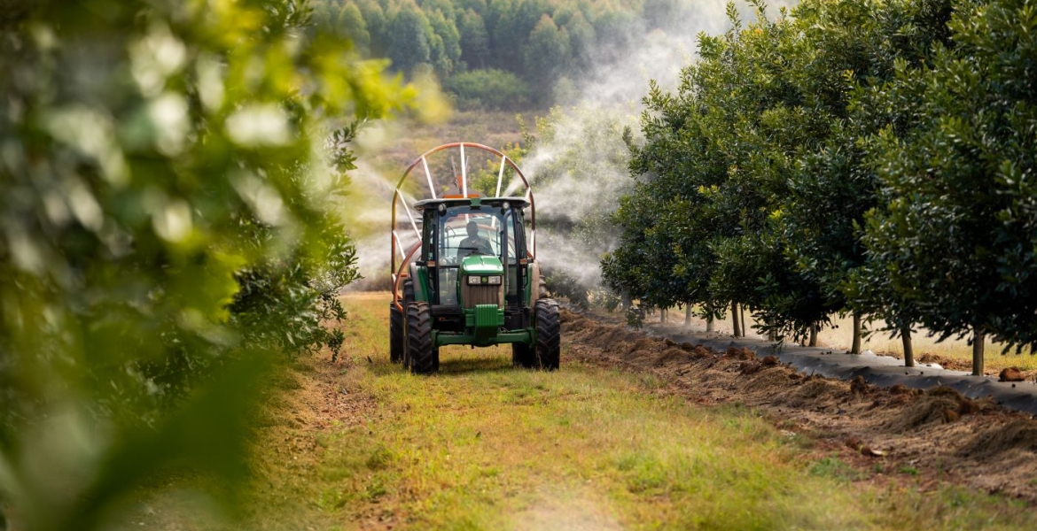 The Visionary Minds Exporting Kenya's Priciest Nuts