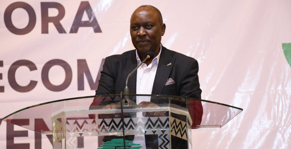 Diaspora Leaders Slam Finance Bill 2024 Provisions