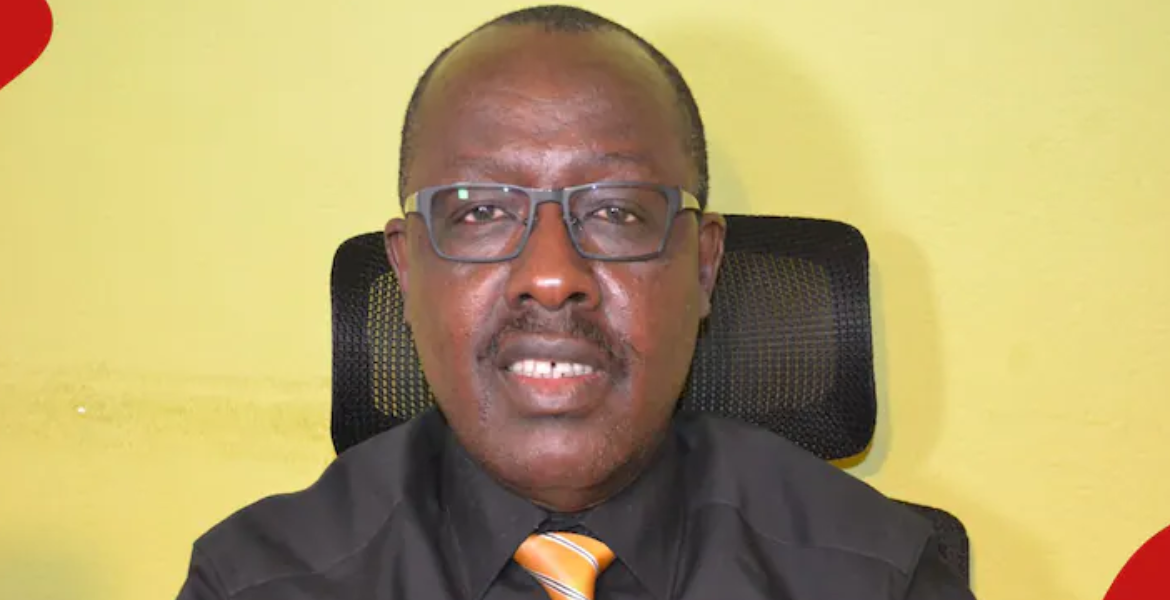 Germany-Based Kenyan Man's Consortium Wins KSh 830m to Convert Mushrooms to Healthy Proteins