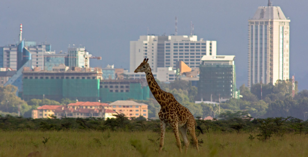 Nairobi City Nairobi Climbs to 4th Place in Africa's High-Rent City Rankings