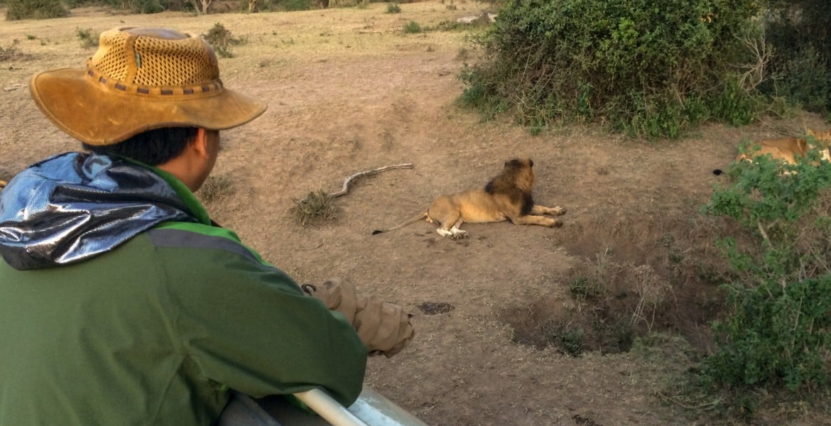 How Chinese Tourist Boosts Local Incomes in Maasai Mara