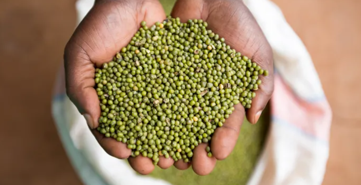 Kenyan MPs Vote Down 'Ndengu Bill' Amid Farmer Backlash