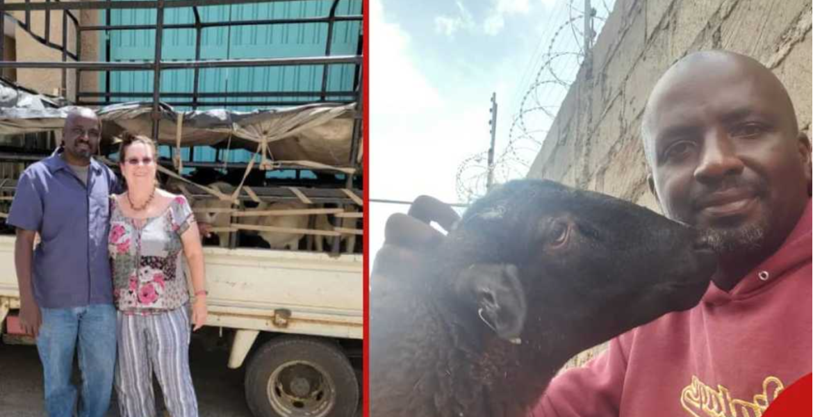 Wall Street Pro Turns to Dorper Sheep Farming in Kenya