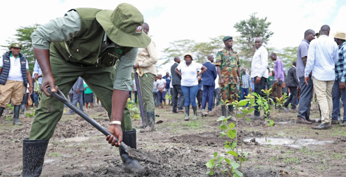 Everything You Should Know About Mazingira Day 2024