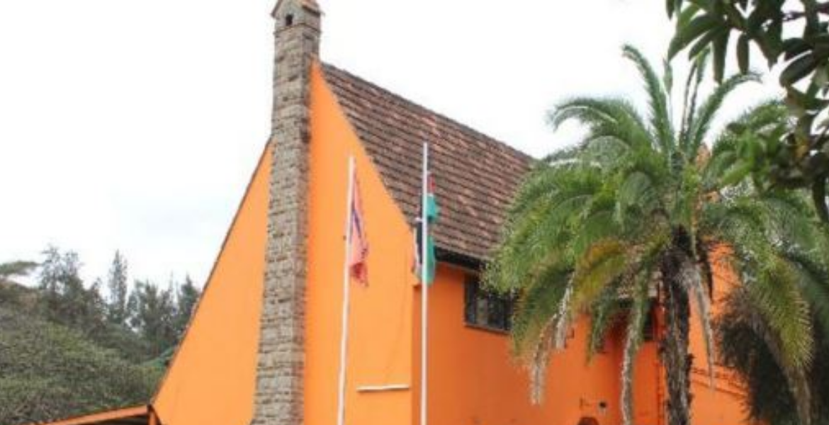 ODM: 7-Year Term Plan Violates Constitution's Core Principles