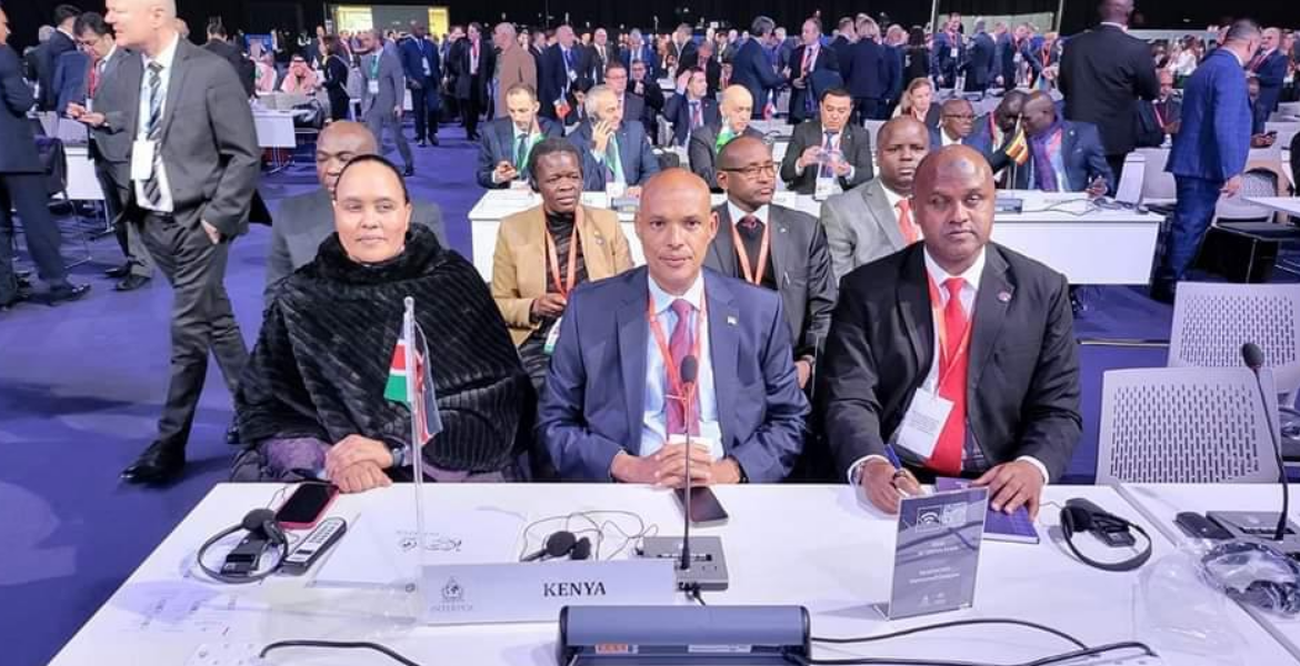 DCI Director Mohamed Amin Advances Kenya's Security Interests at Interpol Summit