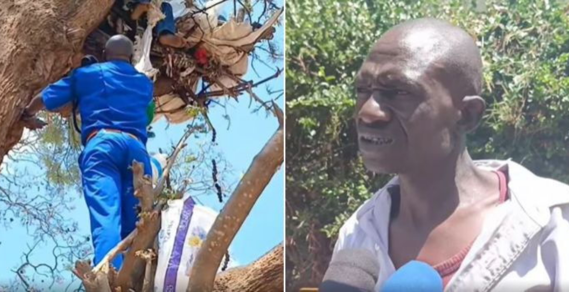 Kenya Pushes Green Building Agenda at Big5 Construction Exhibition