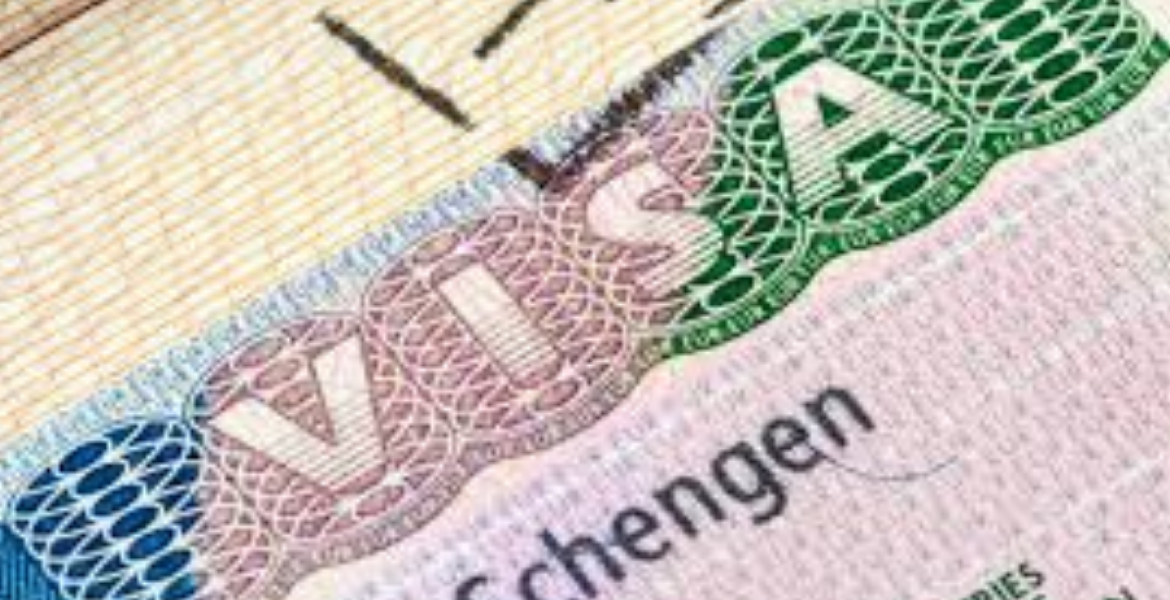 Denied a Schengen Visa? Here's Your Complete Guide to Recovery